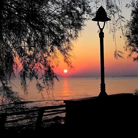 Sea Breeze - Luna *